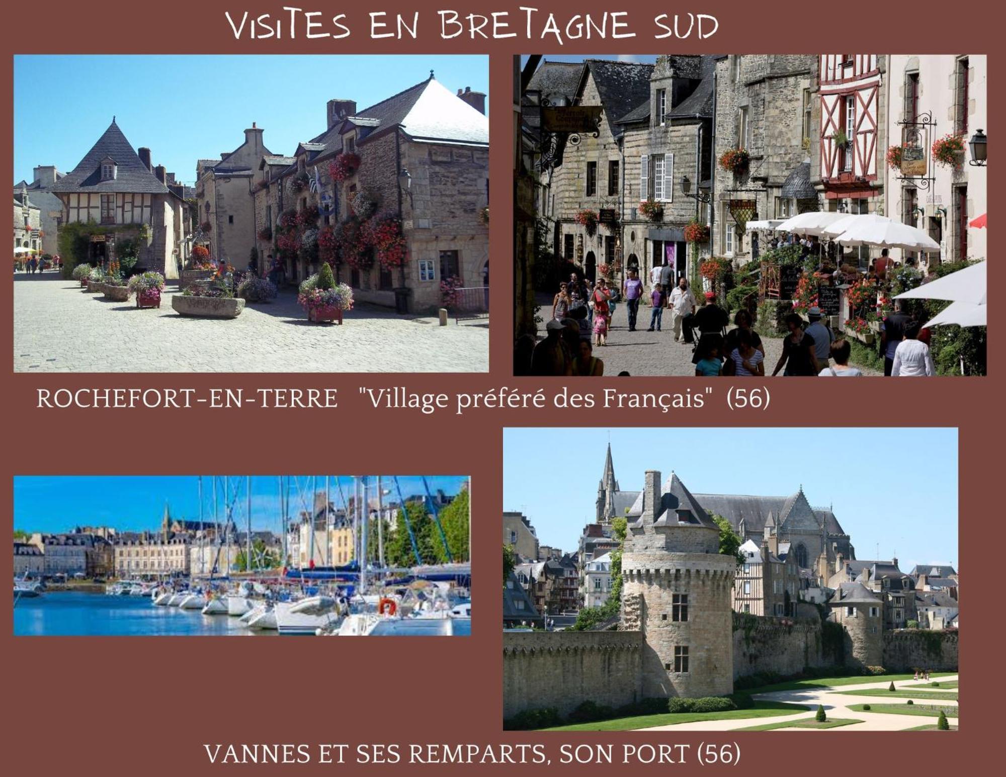 O Studio Terrasse - Centre Ville De Lorient - Gare المظهر الخارجي الصورة